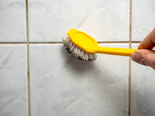 Best Mold Remediation for Schools in Buchanan, GA