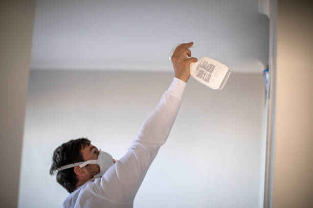 Best Mold Testing and Inspection Services in Buchanan, GA
